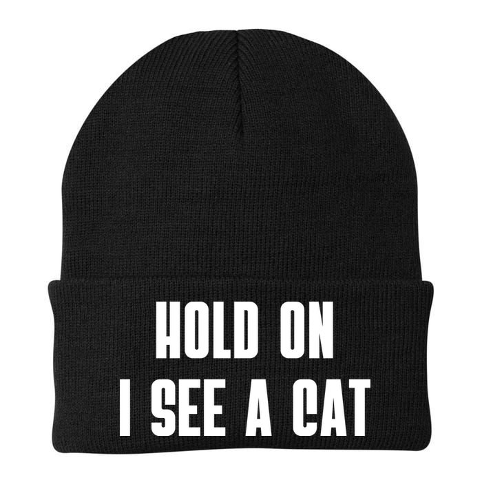Hold On I See A Cat Cat Person Cat Lover Beanie