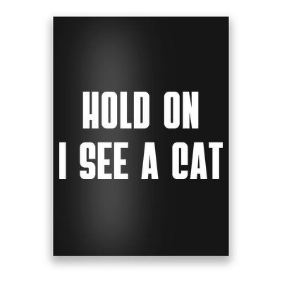 Hold On I See A Cat Cat Person Cat Lover Poster