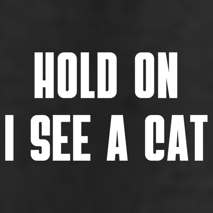 Hold On I See A Cat Cat Person Cat Lover 25L Jumbo Tote