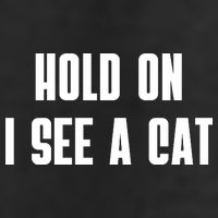Hold On I See A Cat Cat Person Cat Lover Hat