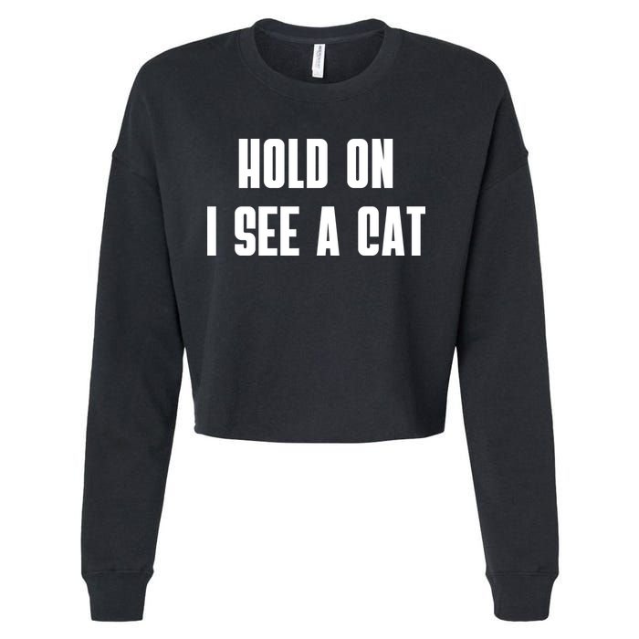 Hold On I See A Cat Cat Person Cat Lover Cropped Pullover Crew
