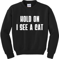 Hold On I See A Cat Cat Person Cat Lover Kids Sweatshirt