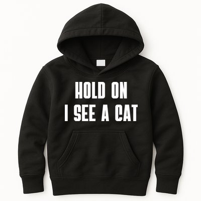 Hold On I See A Cat Cat Person Cat Lover Kids Hoodie