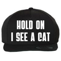 Hold On I See A Cat Cat Person Cat Lover Wool Snapback Cap