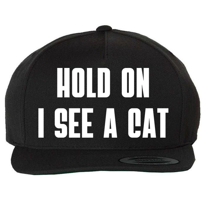 Hold On I See A Cat Cat Person Cat Lover Wool Snapback Cap