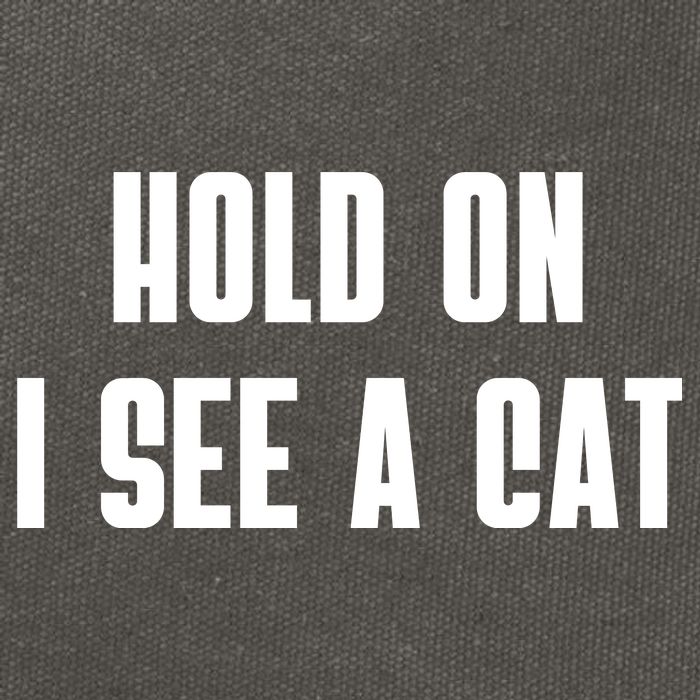 Hold On I See A Cat Cat Person Cat Lover Cotton Canvas Backpack