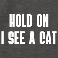 Hold On I See A Cat Cat Person Cat Lover Vector Backpack