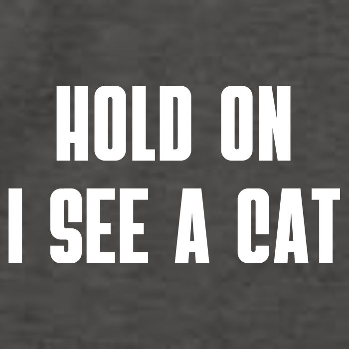 Hold On I See A Cat Cat Person Cat Lover Vector Backpack