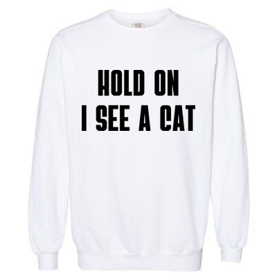 Hold On I See A Cat Cat Person Cat Lover Garment-Dyed Sweatshirt