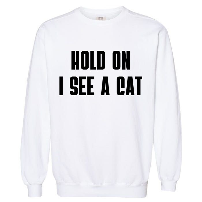 Hold On I See A Cat Cat Person Cat Lover Garment-Dyed Sweatshirt