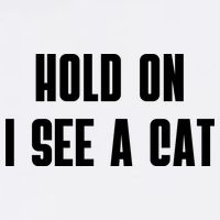 Hold On I See A Cat Cat Person Cat Lover Garment-Dyed Sweatshirt