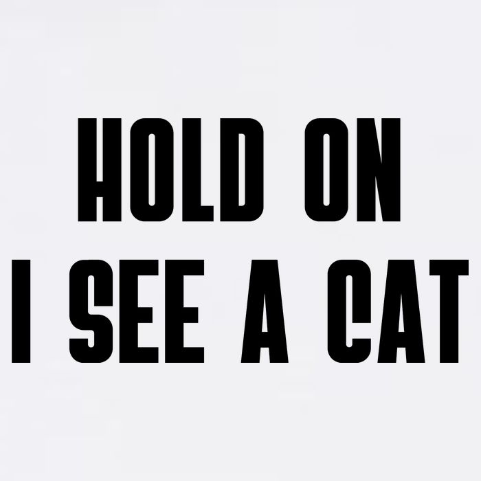 Hold On I See A Cat Cat Person Cat Lover Garment-Dyed Sweatshirt