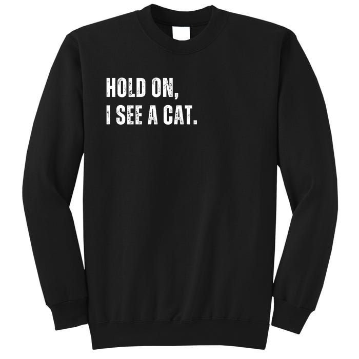 Hold On I See A Cat Sweatshirt