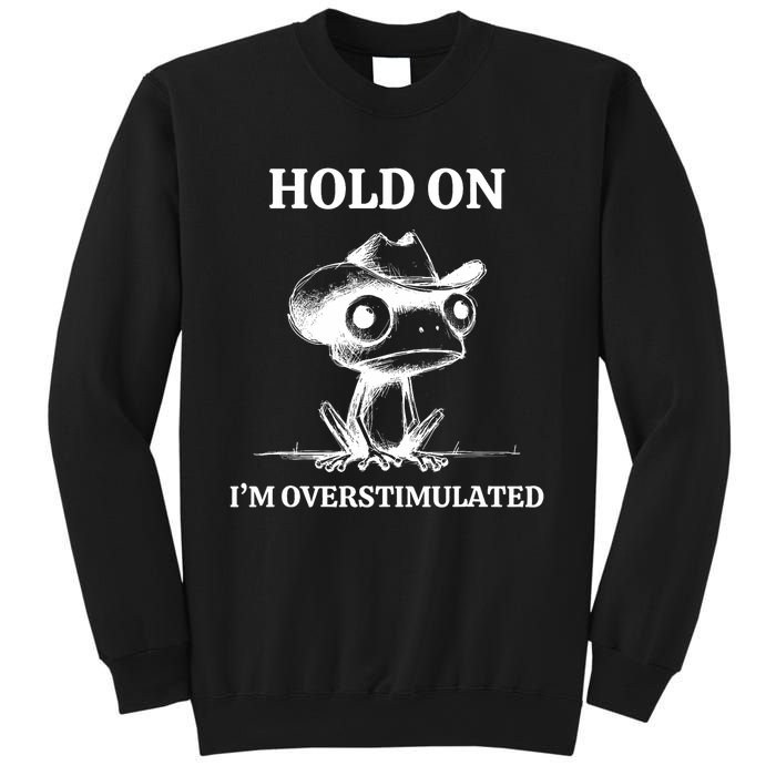 Hold On IM Overstimulated Frog Adhd And Anxiety Funny Frog Sweatshirt