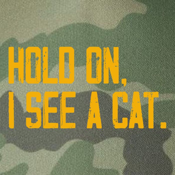 Hold On I See A Cat, Funny Cat Lovers Sarcastic Sayings Legacy Tie Dye Trucker Hat