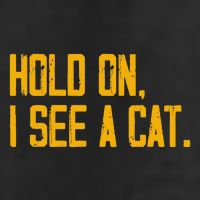 Hold On I See A Cat, Funny Cat Lovers Sarcastic Sayings Cool Comfort Performance Bucket Hat