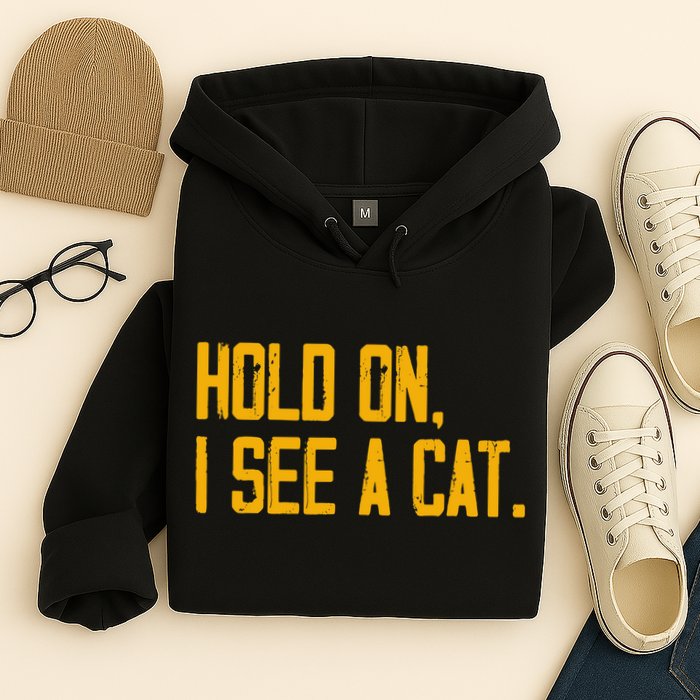 Hold On I See A Cat, Funny Cat Lovers Sarcastic Sayings Hoodie