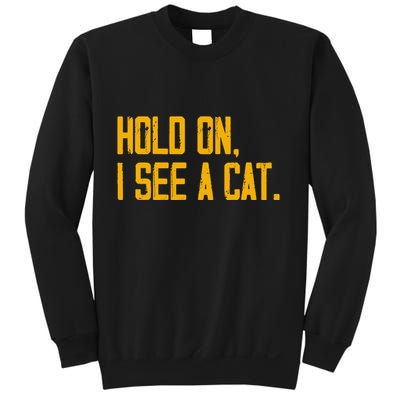 Hold On I See A Cat, Funny Cat Lovers Sarcastic Sayings Sweatshirt