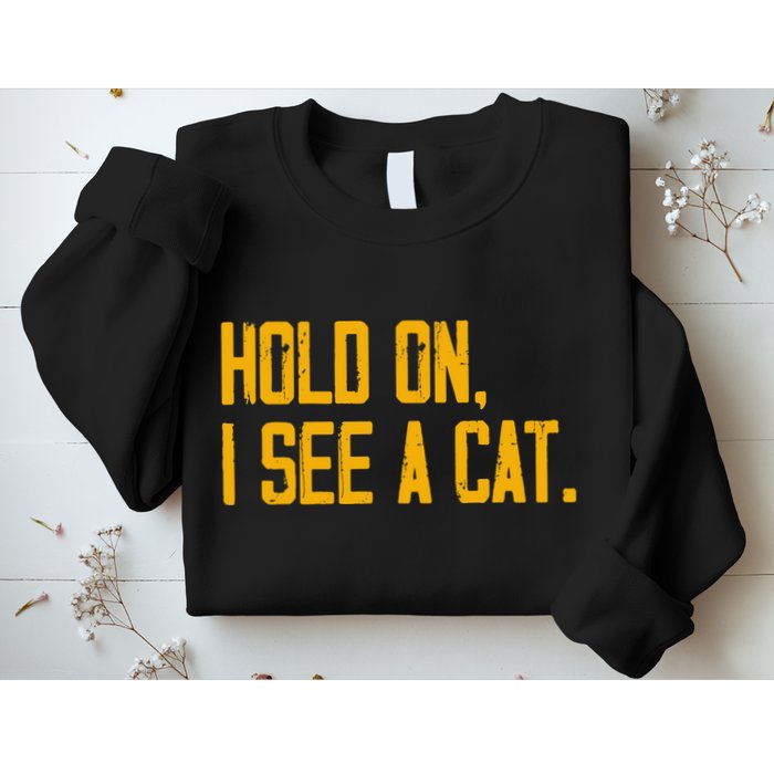Hold On I See A Cat, Funny Cat Lovers Sarcastic Sayings Sweatshirt