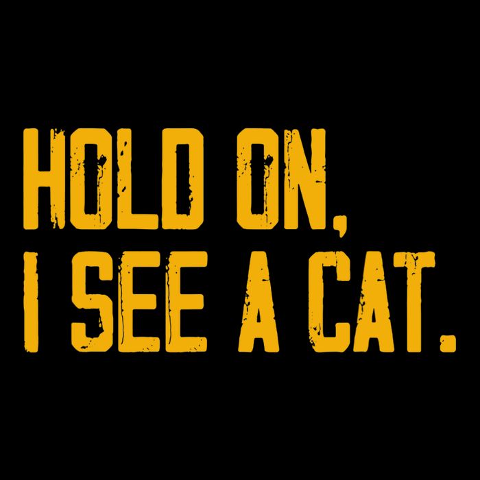 Hold On I See A Cat, Funny Cat Lovers Sarcastic Sayings Impact Tech Backpack