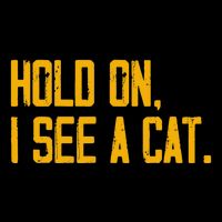 Hold On I See A Cat, Funny Cat Lovers Sarcastic Sayings Button