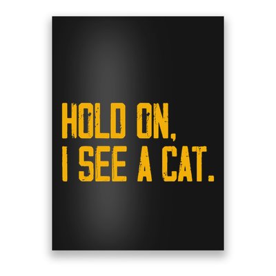Hold On I See A Cat, Funny Cat Lovers Sarcastic Sayings Poster