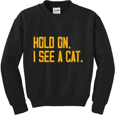 Hold On I See A Cat, Funny Cat Lovers Sarcastic Sayings Kids Sweatshirt