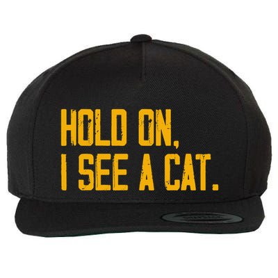 Hold On I See A Cat, Funny Cat Lovers Sarcastic Sayings Wool Snapback Cap