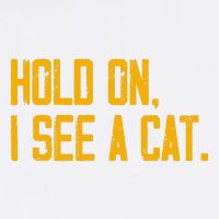 Hold On I See A Cat, Funny Cat Lovers Sarcastic Sayings Garment-Dyed Sweatshirt