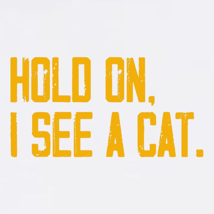 Hold On I See A Cat, Funny Cat Lovers Sarcastic Sayings Garment-Dyed Sweatshirt