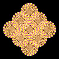 Hypnosis Optical Illusion Spiral Perspective Perception Gift Cropped Pullover Crew