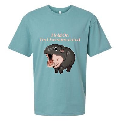 Hold On I_m Overstimulated Moo Deng Baby Hippo Moo Sueded Cloud Jersey T-Shirt