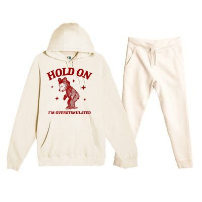 Hold On I’M Overstimulated Bear Premium Hooded Sweatsuit Set