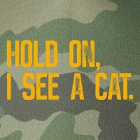 Hold On I See A Cat, Funny Cat Lovers Sarcastic Sayings Legacy Tie Dye Trucker Hat