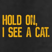 Hold On I See A Cat, Funny Cat Lovers Sarcastic Sayings Garment-Dyed Fleece Hoodie