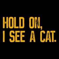 Hold On I See A Cat, Funny Cat Lovers Sarcastic Sayings Flexfit Unipanel Trucker Cap