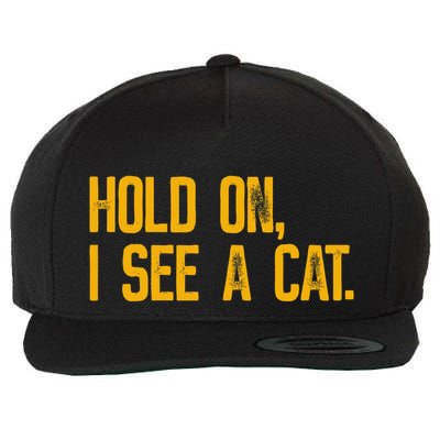 Hold On I See A Cat, Funny Cat Lovers Sarcastic Sayings Wool Snapback Cap