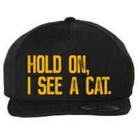 Hold On I See A Cat, Funny Cat Lovers Sarcastic Sayings Wool Snapback Cap