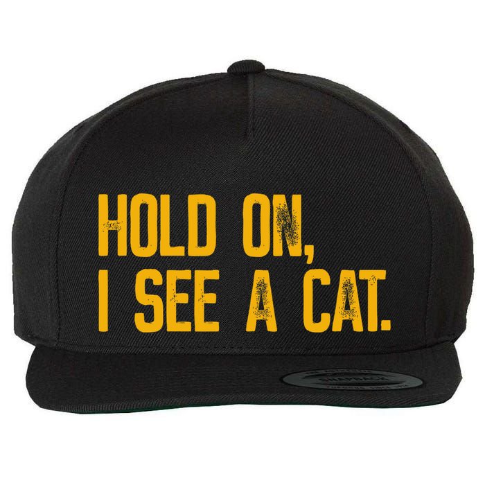 Hold On I See A Cat, Funny Cat Lovers Sarcastic Sayings Wool Snapback Cap
