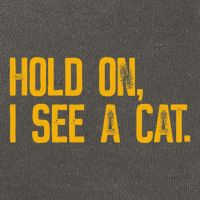 Hold On I See A Cat, Funny Cat Lovers Sarcastic Sayings Cotton Canvas Backpack