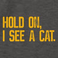 Hold On I See A Cat, Funny Cat Lovers Sarcastic Sayings Vector Backpack