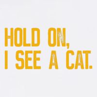 Hold On I See A Cat, Funny Cat Lovers Sarcastic Sayings Garment-Dyed Sweatshirt