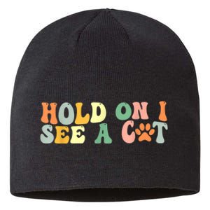 Hold On I See A Cat Funny Cat Lovers Sayings Valentines Day Sustainable Beanie