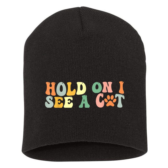 Hold On I See A Cat Funny Cat Lovers Sayings Valentines Day Short Acrylic Beanie