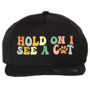 Hold On I See A Cat Funny Cat Lovers Sayings Valentines Day Wool Snapback Cap