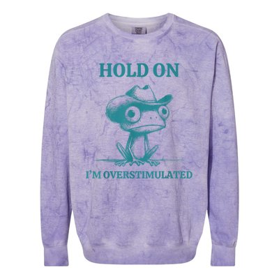 Hold On Im Overstimulated Frog Adhd And Anxiety Funny Frog Colorblast Crewneck Sweatshirt