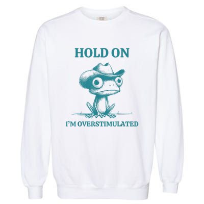 Hold On Im Overstimulated Frog Adhd And Anxiety Funny Frog Garment-Dyed Sweatshirt