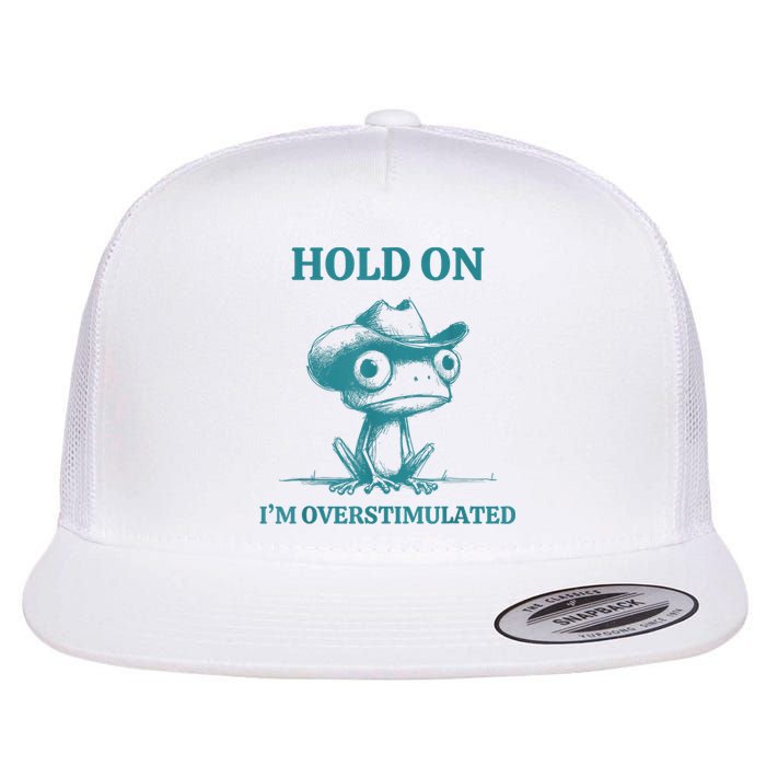 Hold On Im Overstimulated Frog Adhd And Anxiety Funny Frog Flat Bill Trucker Hat