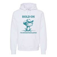 Hold On Im Overstimulated Frog Adhd And Anxiety Funny Frog Premium Hoodie