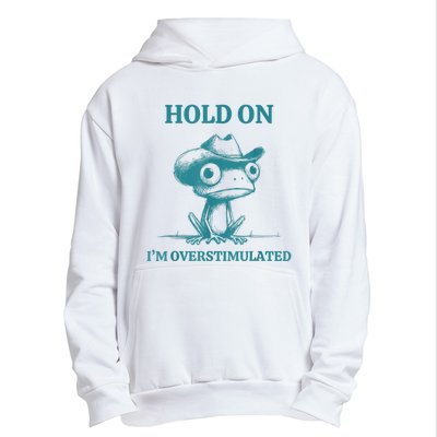 Hold On Im Overstimulated Frog Adhd And Anxiety Funny Frog Urban Pullover Hoodie